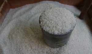 basmi kutu beras dalam karung