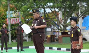 IMG-20251209-WA0045(1)