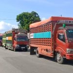 Screenshot_2026-01-24-17-54-11-10_6012fa4d4ddec268fc5c7112cbb265e7